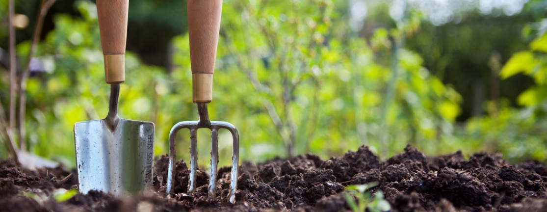 Hands on Gardening Workshop